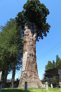 photo-20260425-32