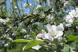 photo-20260425-42