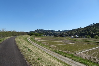 photo-20260425-5