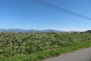 photo-20260425-58