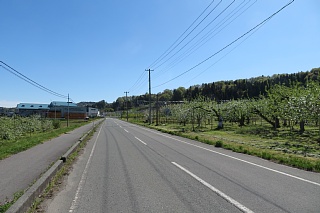 photo-20260425-59