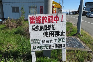 photo-20260425-61