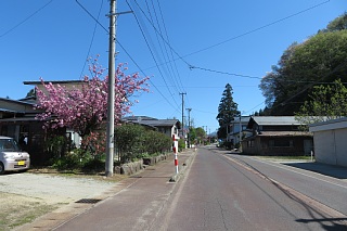 photo-20260425-7