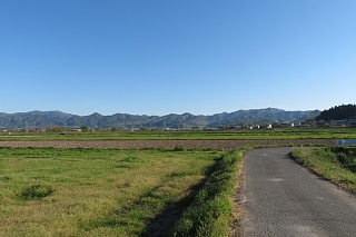 photo-20260425-77