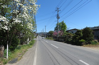 photo-20260425-8