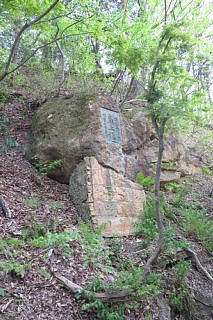 photo-20260425-82