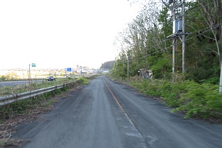 photo-20260425-84