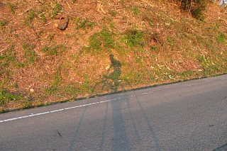 photo-20260425-91
