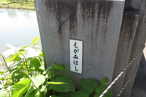 photo-202604252-6